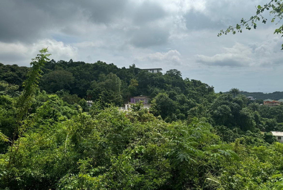 Fifth image of 98b Cyprus Drive, Belvedere, in Red Hills, St. Andrew, Jamaica - property is For Sale