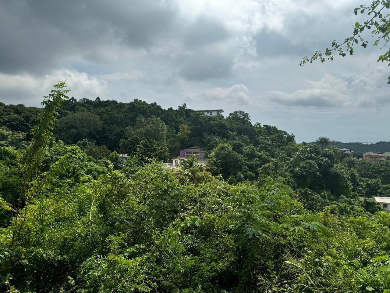 Fifth image of 98b Cyprus Drive, Belvedere, in Red Hills, St. Andrew, Jamaica - property is For Sale