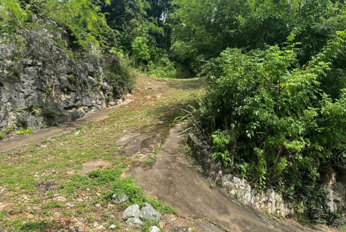 Sixth image of 98b Cyprus Drive, Belvedere, in Red Hills, St. Andrew, Jamaica - property is For Sale