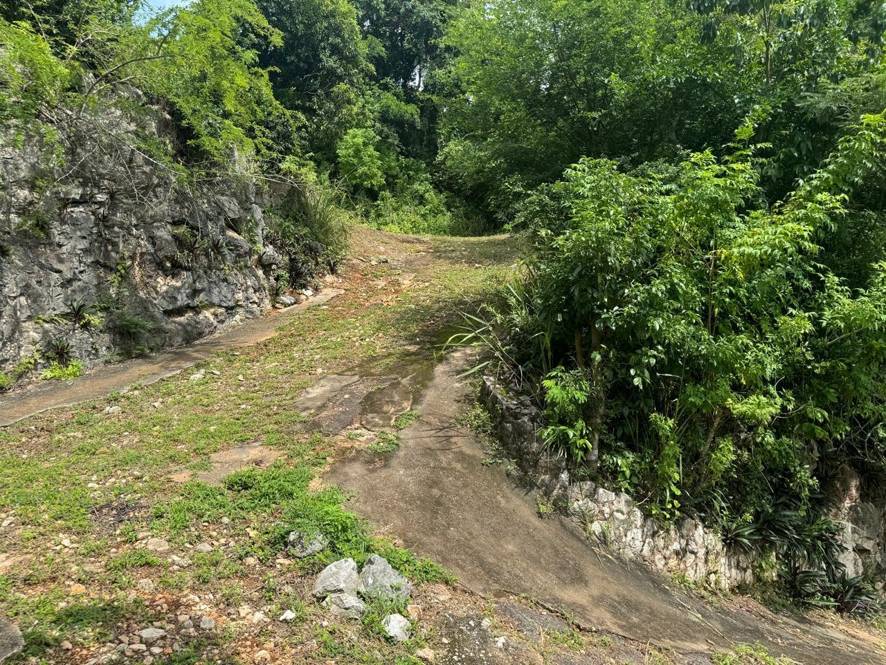 Sixth image of 98b Cyprus Drive, Belvedere, in Red Hills, St. Andrew, Jamaica - property is For Sale