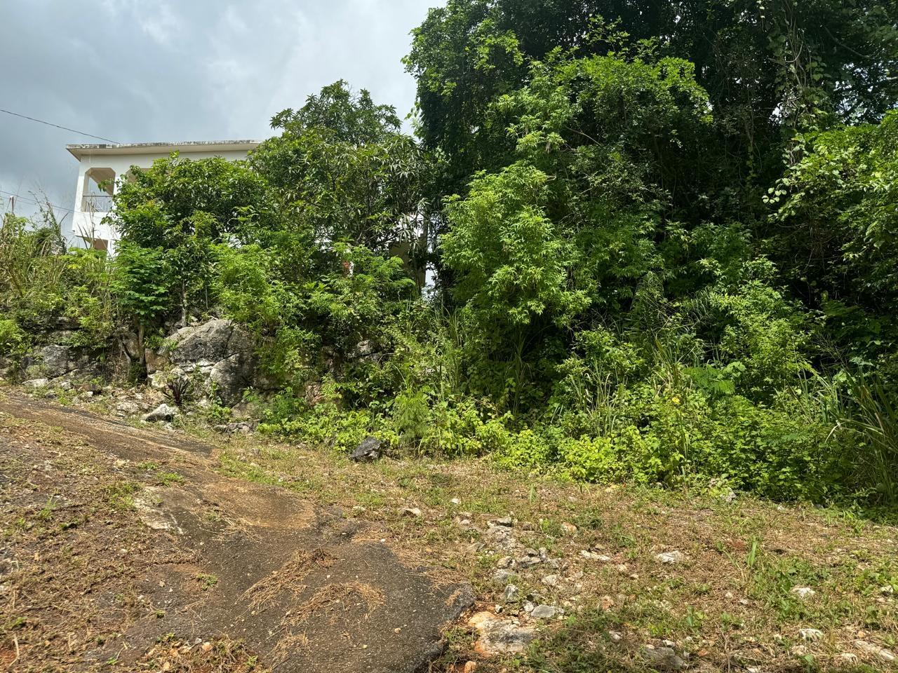 Seventh image of 98b Cyprus Drive, Belvedere, in Red Hills, St. Andrew, Jamaica - property is For Sale