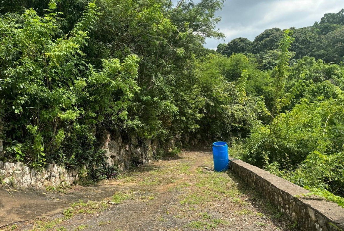 Tenth image of 98b Cyprus Drive, Belvedere, in Red Hills, St. Andrew, Jamaica - property is For Sale