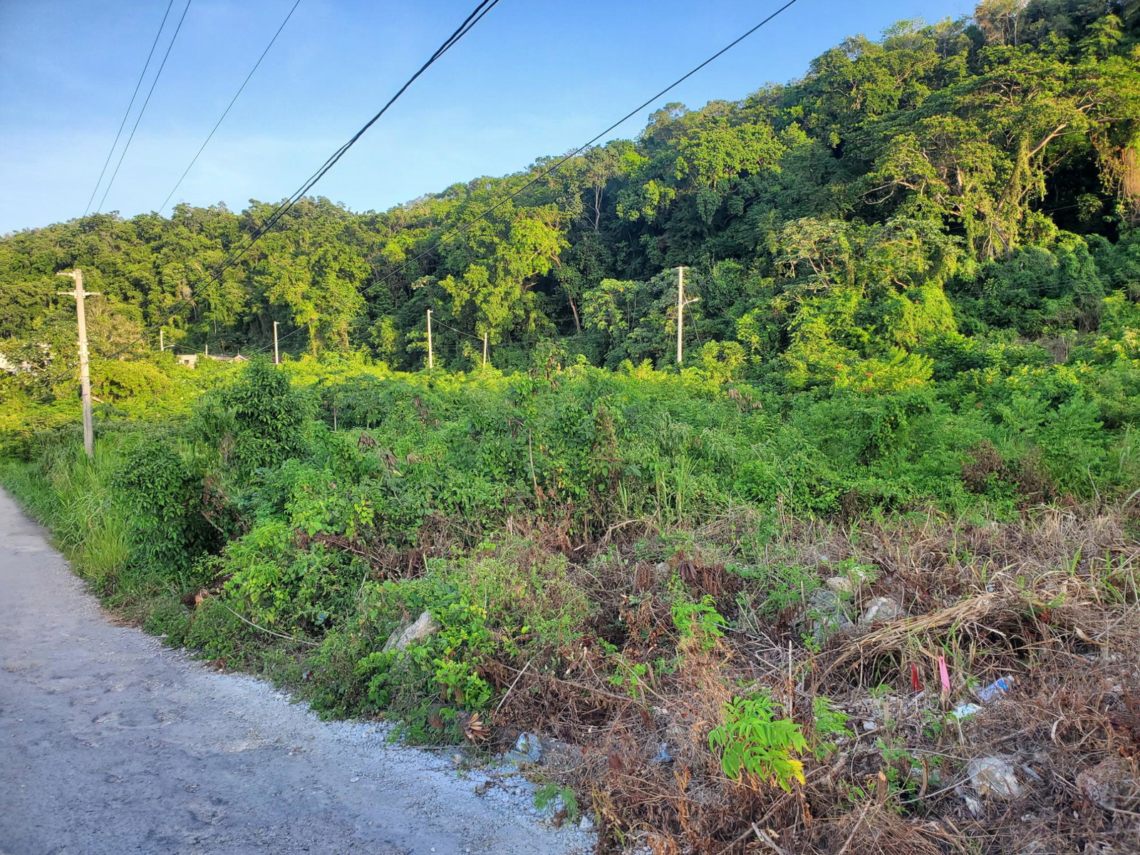 Second image of 353- Boscobel Heights in Boscobel Heights, St. Mary, Jamaica - property is For Sale