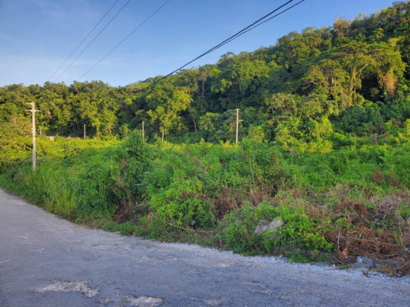 First image of 353- Boscobel Heights in Boscobel Heights, St. Mary, Jamaica - property is For Sale