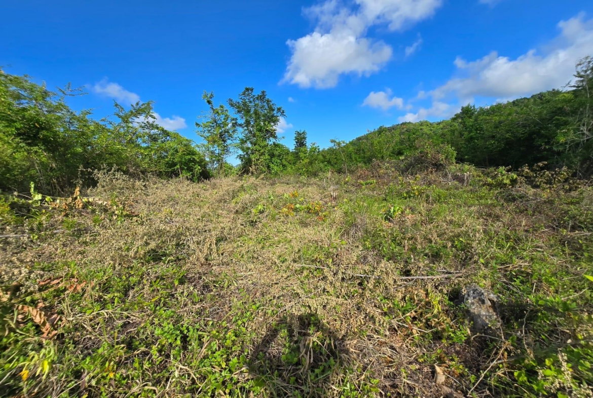 Second image of Lot 141 Boscobel Heights Lot 141 in Boscobel, St. Mary, Jamaica - property is For Sale