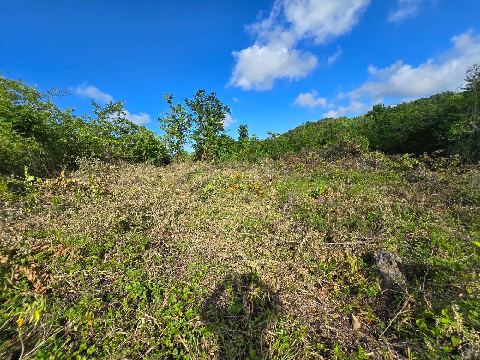 Second image of Lot 141 Boscobel Heights Lot 141 in Boscobel, St. Mary, Jamaica - property is For Sale