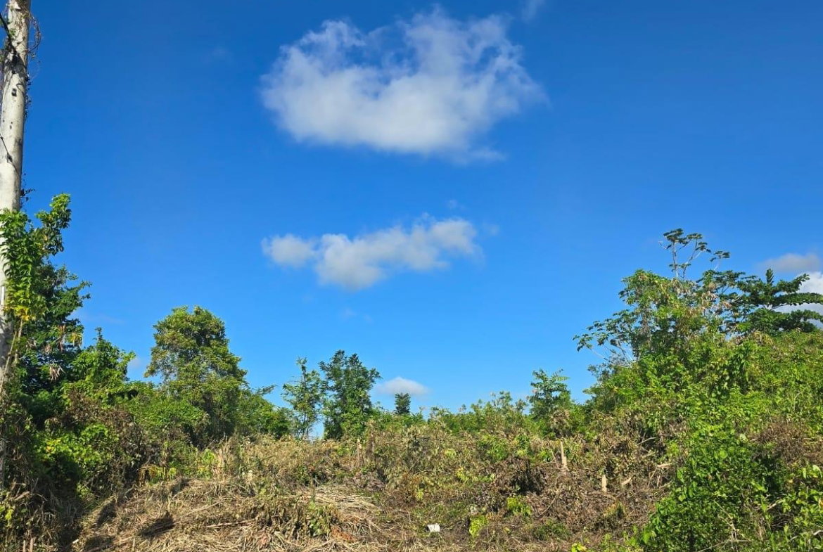 Eleventh image of Lot 141 Boscobel Heights Lot 141 in Boscobel, St. Mary, Jamaica - property is For Sale