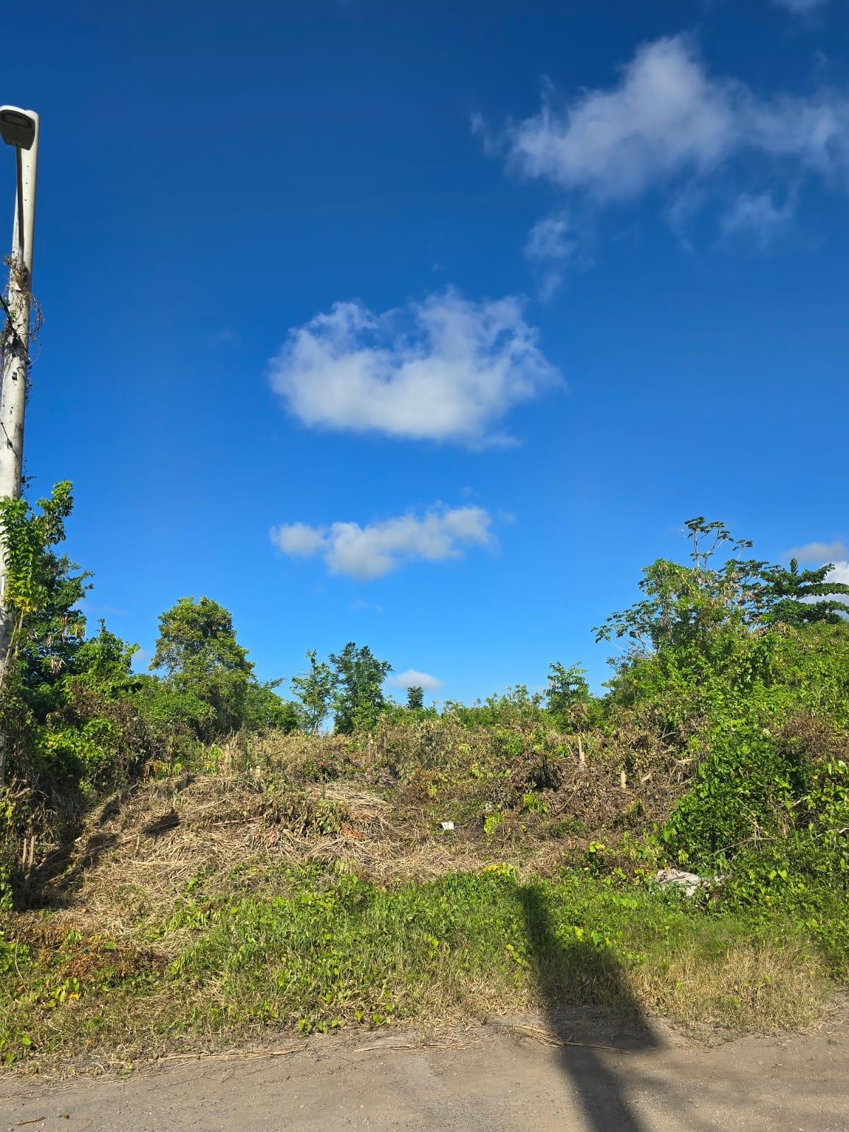 Eleventh image of Lot 141 Boscobel Heights Lot 141 in Boscobel, St. Mary, Jamaica - property is For Sale