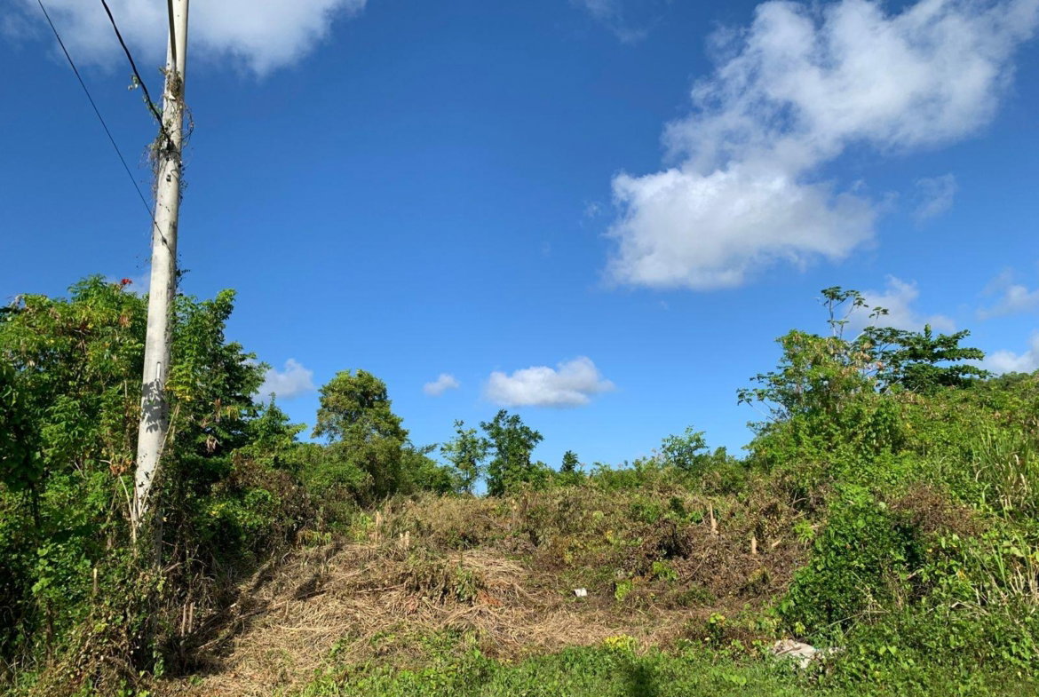 Twelfth image of Lot 141 Boscobel Heights Lot 141 in Boscobel, St. Mary, Jamaica - property is For Sale
