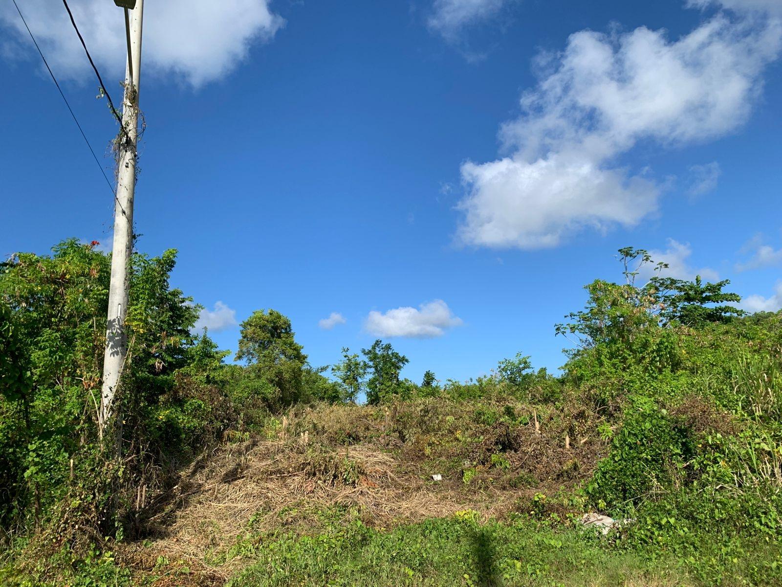 Twelfth image of Lot 141 Boscobel Heights Lot 141 in Boscobel, St. Mary, Jamaica - property is For Sale