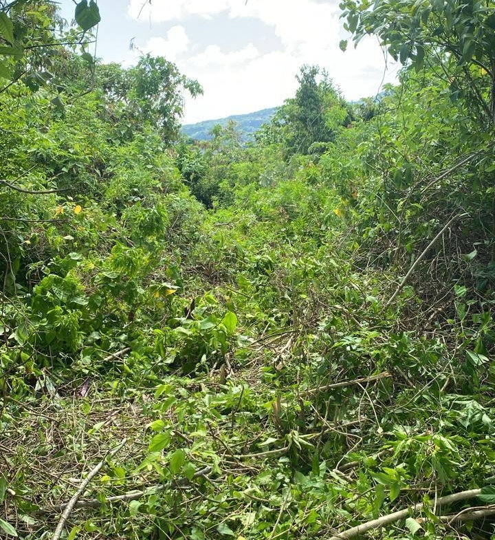 Fourteenth image of Lot 141 Boscobel Heights Lot 141 in Boscobel, St. Mary, Jamaica - property is For Sale