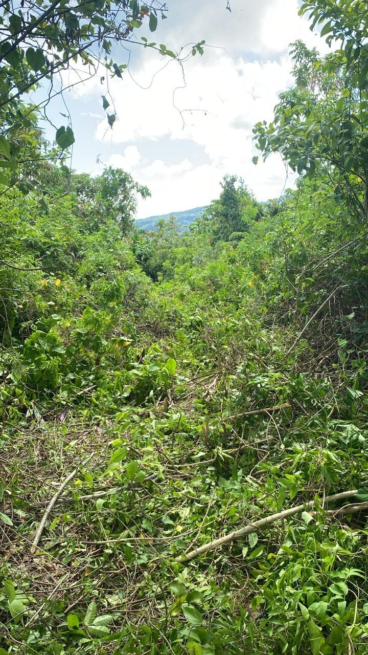 Fourteenth image of Lot 141 Boscobel Heights Lot 141 in Boscobel, St. Mary, Jamaica - property is For Sale