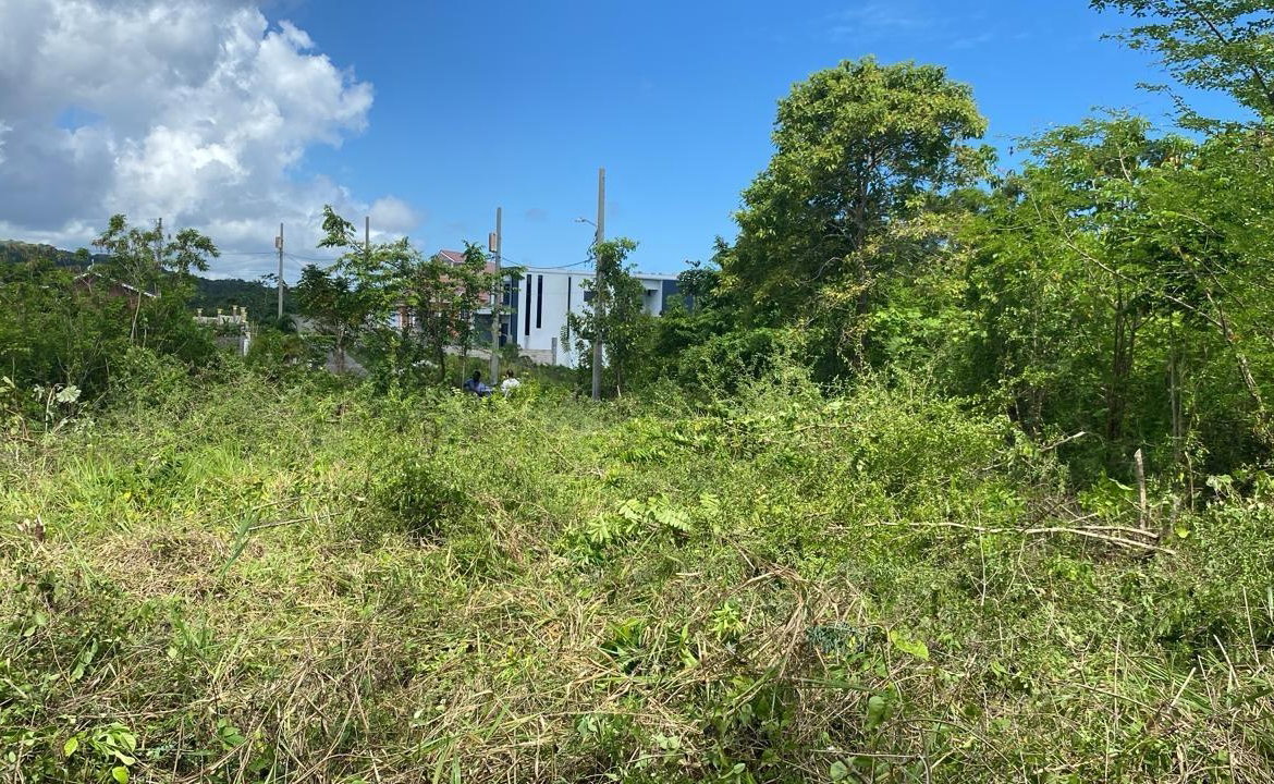 Fifteenth image of Lot 141 Boscobel Heights Lot 141 in Boscobel, St. Mary, Jamaica - property is For Sale