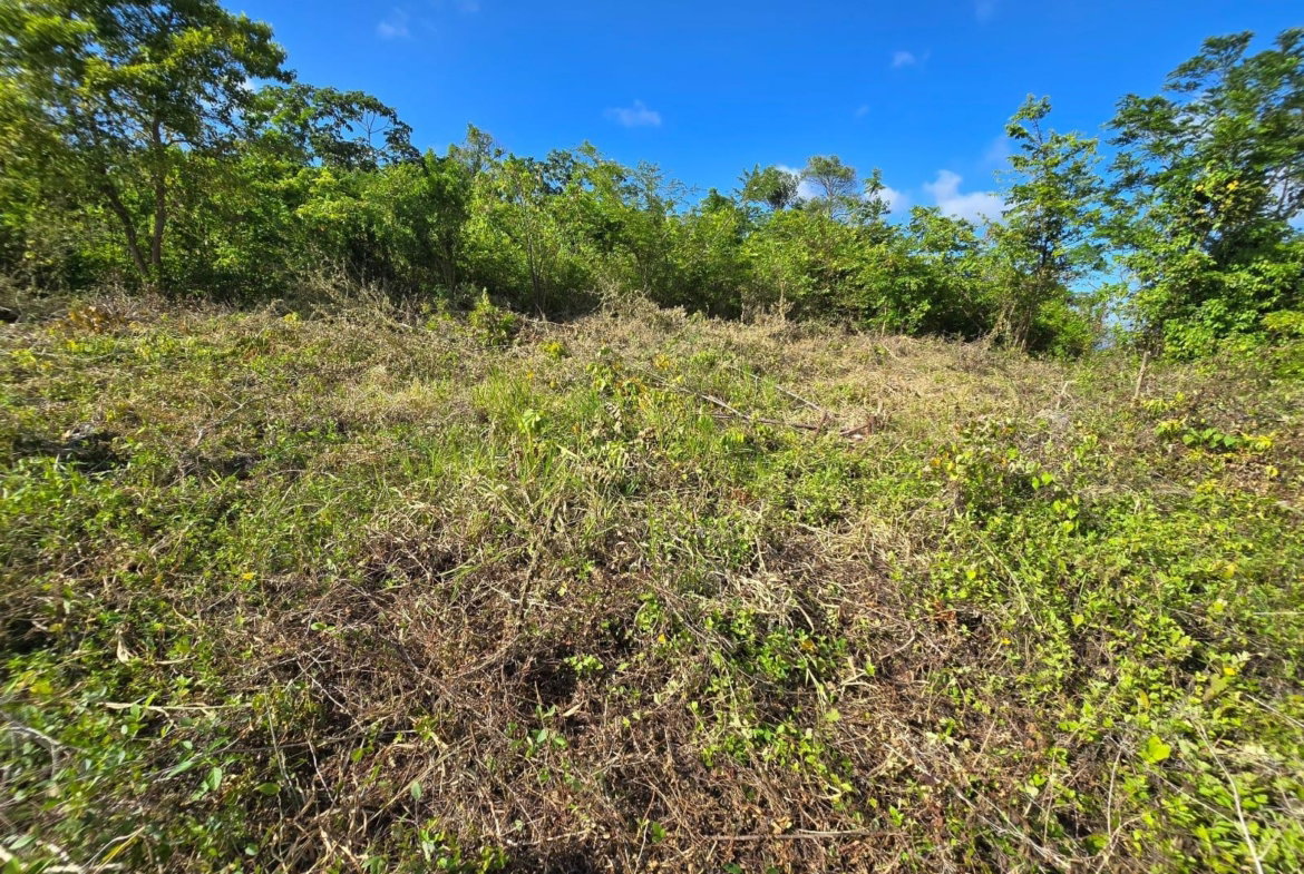 Third image of Lot 141 Boscobel Heights Lot 141 in Boscobel, St. Mary, Jamaica - property is For Sale