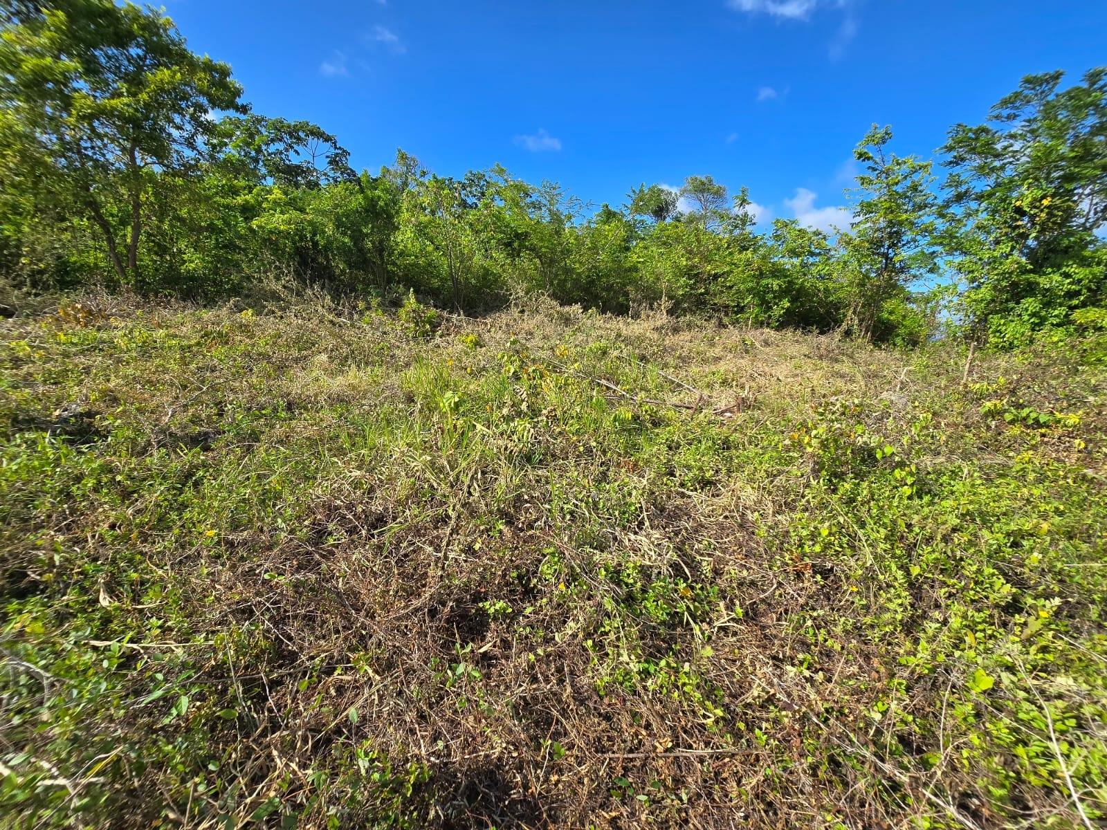 Third image of Lot 141 Boscobel Heights Lot 141 in Boscobel, St. Mary, Jamaica - property is For Sale