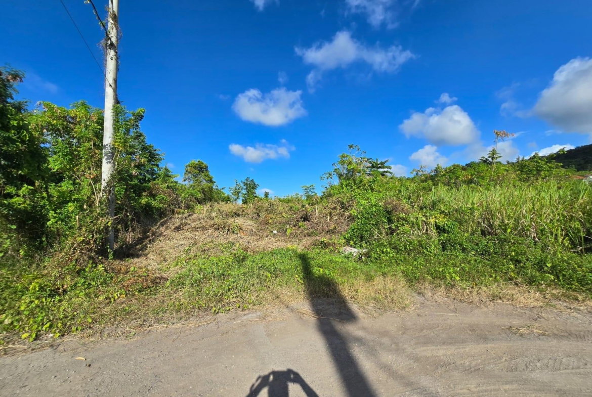 Fourth image of Lot 141 Boscobel Heights Lot 141 in Boscobel, St. Mary, Jamaica - property is For Sale