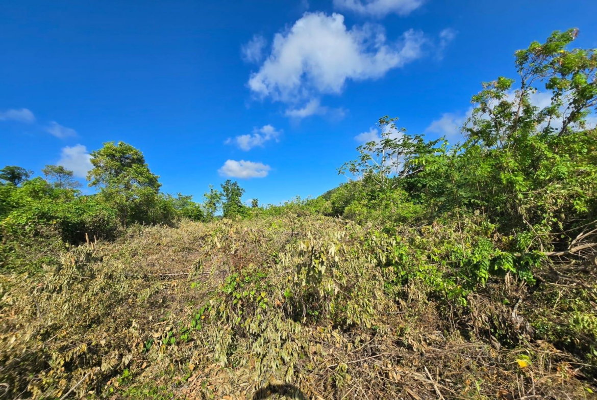 Fifth image of Lot 141 Boscobel Heights Lot 141 in Boscobel, St. Mary, Jamaica - property is For Sale