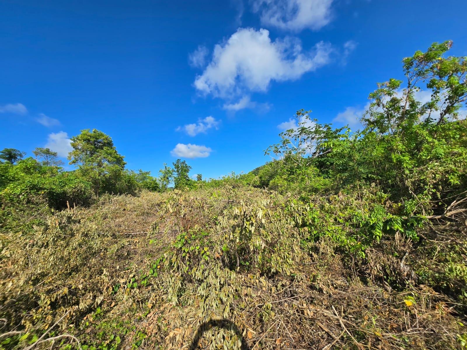 Fifth image of Lot 141 Boscobel Heights Lot 141 in Boscobel, St. Mary, Jamaica - property is For Sale