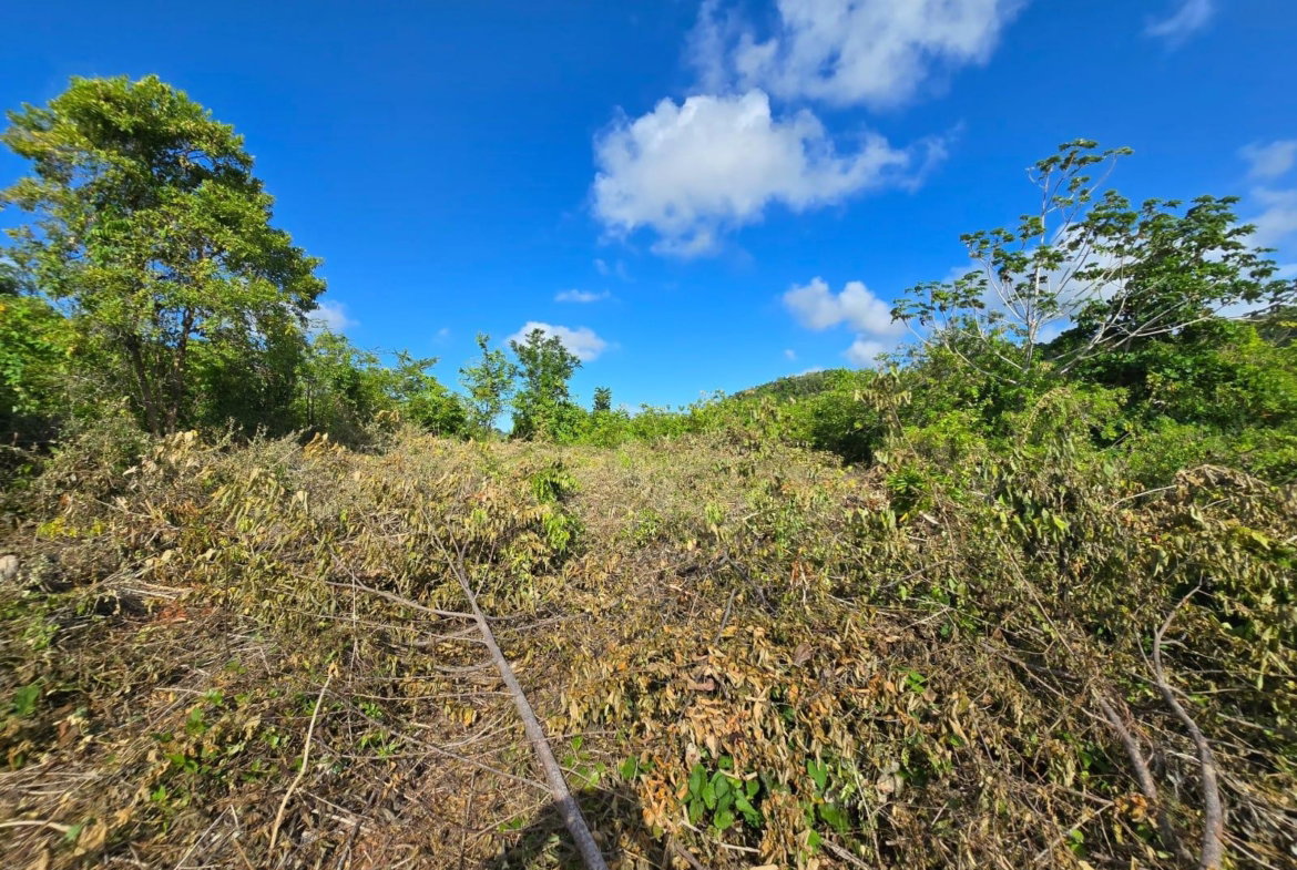 Sixth image of Lot 141 Boscobel Heights Lot 141 in Boscobel, St. Mary, Jamaica - property is For Sale