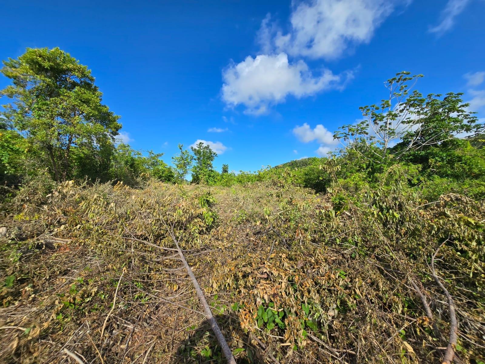 Sixth image of Lot 141 Boscobel Heights Lot 141 in Boscobel, St. Mary, Jamaica - property is For Sale