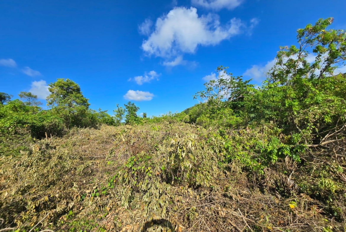 Seventh image of Lot 141 Boscobel Heights Lot 141 in Boscobel, St. Mary, Jamaica - property is For Sale