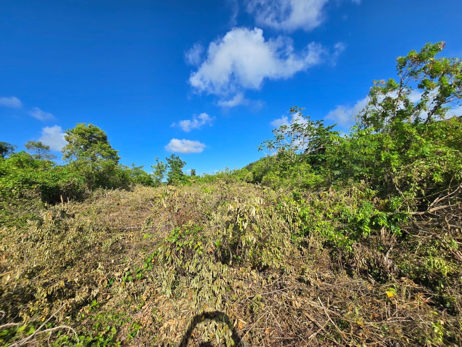 Seventh image of Lot 141 Boscobel Heights Lot 141 in Boscobel, St. Mary, Jamaica - property is For Sale