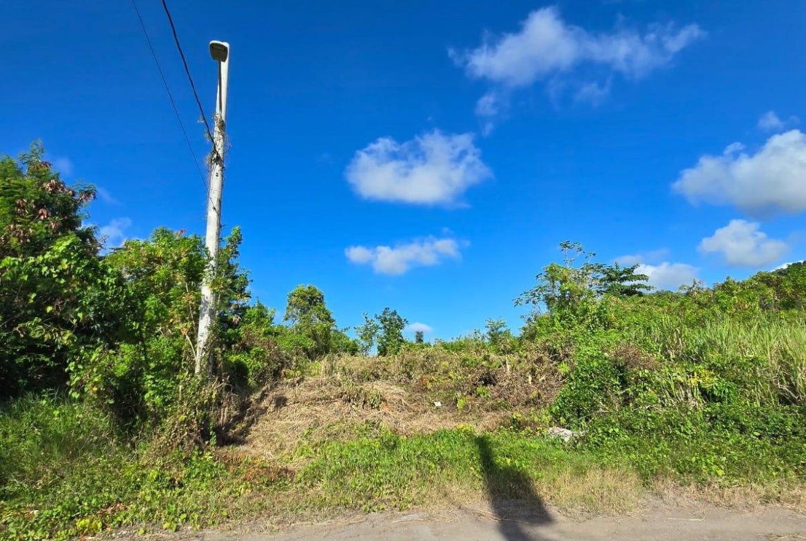 Eighth image of Lot 141 Boscobel Heights Lot 141 in Boscobel, St. Mary, Jamaica - property is For Sale