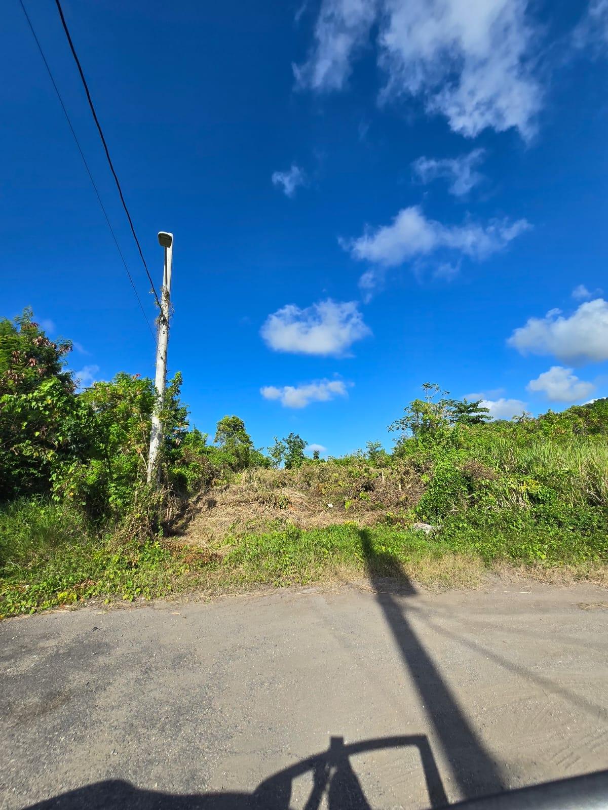 Eighth image of Lot 141 Boscobel Heights Lot 141 in Boscobel, St. Mary, Jamaica - property is For Sale