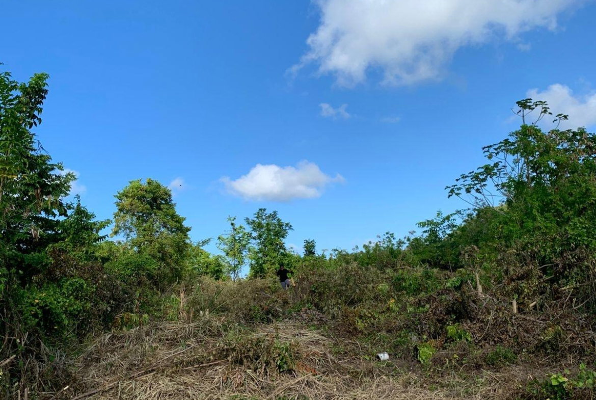 Ninth image of Lot 141 Boscobel Heights Lot 141 in Boscobel, St. Mary, Jamaica - property is For Sale