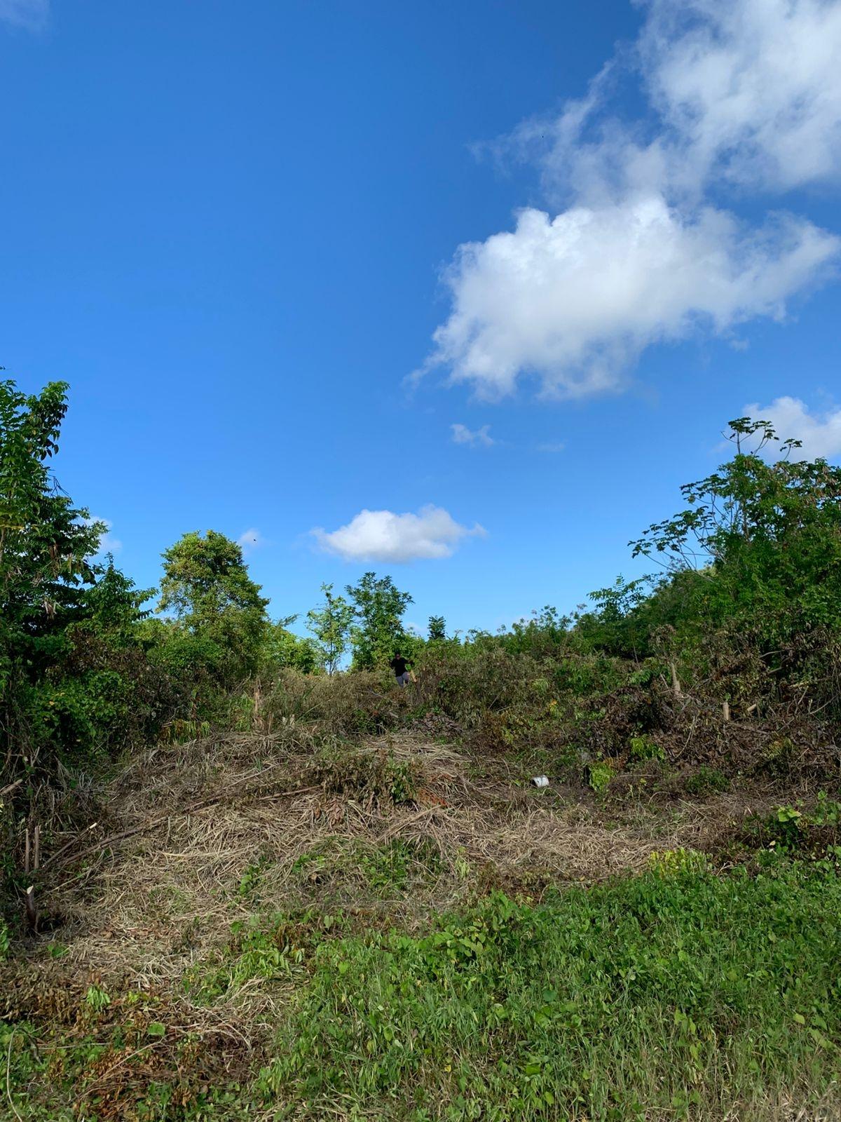 Ninth image of Lot 141 Boscobel Heights Lot 141 in Boscobel, St. Mary, Jamaica - property is For Sale