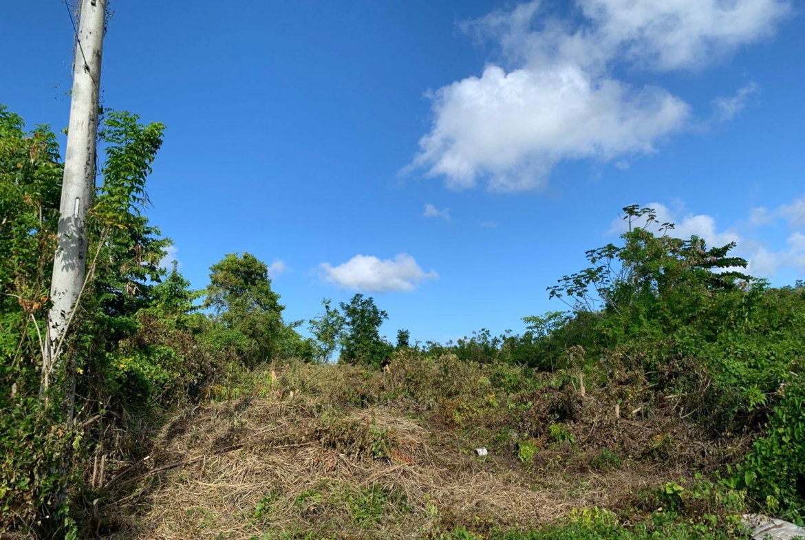 Tenth image of Lot 141 Boscobel Heights Lot 141 in Boscobel, St. Mary, Jamaica - property is For Sale