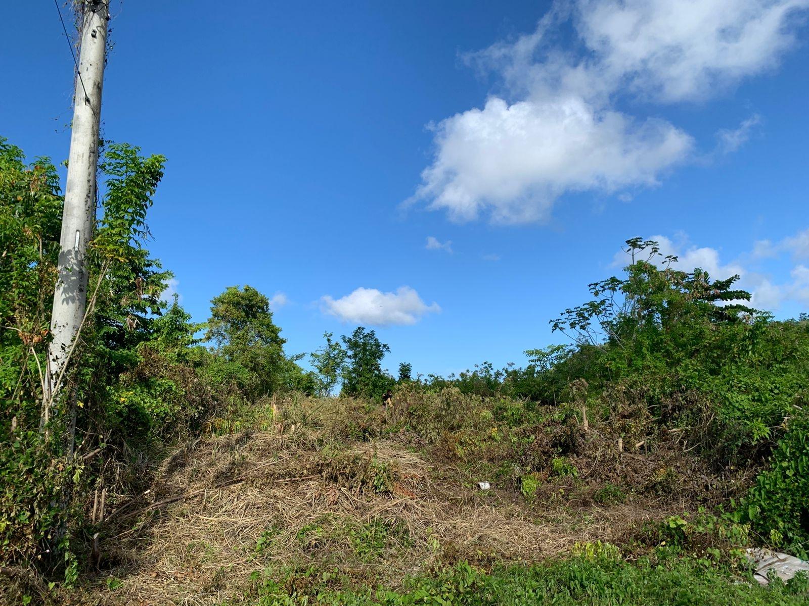 Tenth image of Lot 141 Boscobel Heights Lot 141 in Boscobel, St. Mary, Jamaica - property is For Sale