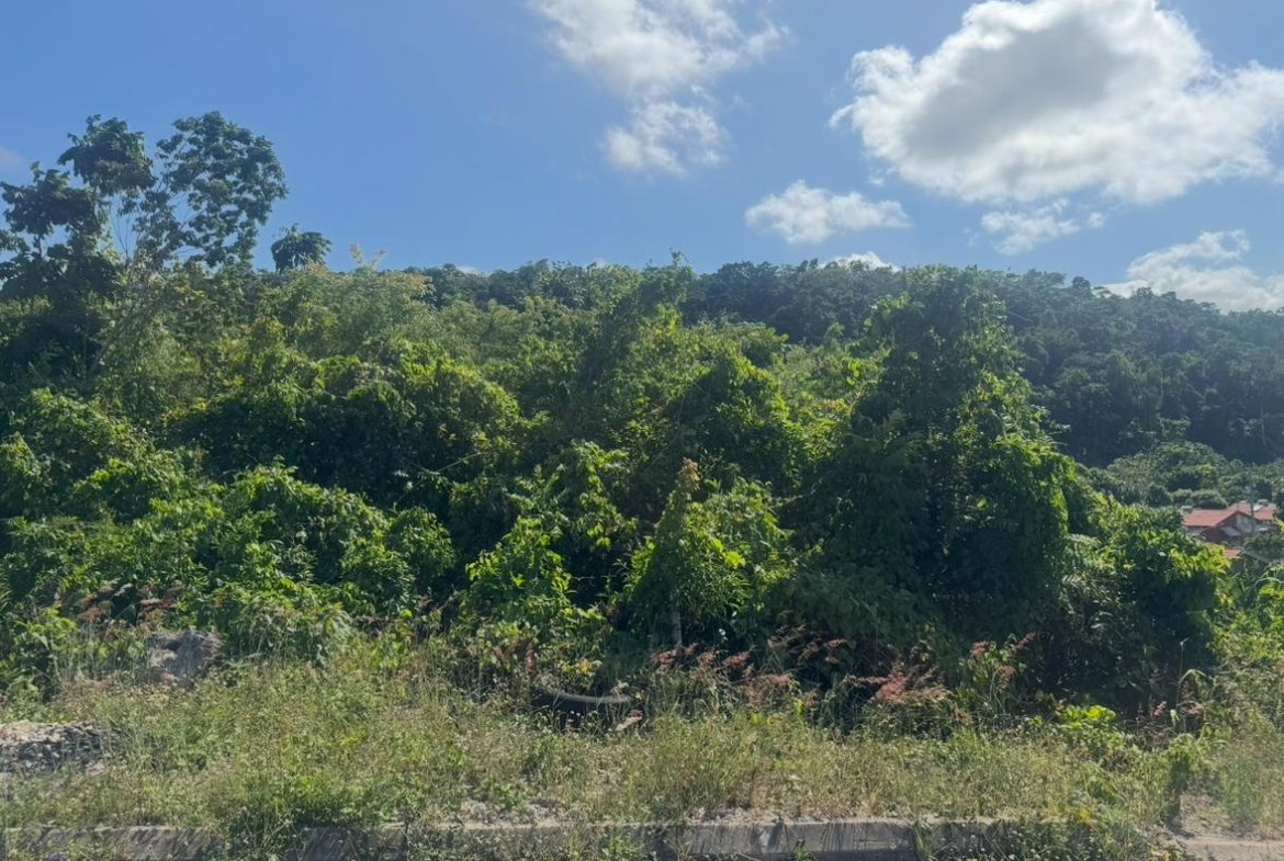 Eleventh image of Lot 24 Constitution dr Bosobel in Boscobel, St. Mary, Jamaica - property is For Sale