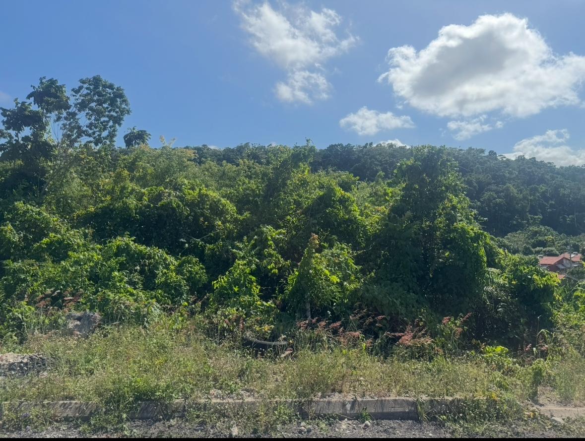Eleventh image of Lot 24 Constitution dr Bosobel in Boscobel, St. Mary, Jamaica - property is For Sale