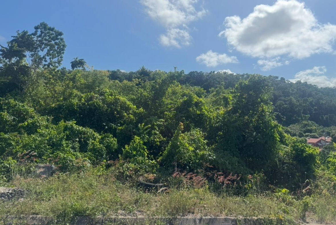 Twelfth image of Lot 24 Constitution dr Bosobel in Boscobel, St. Mary, Jamaica - property is For Sale