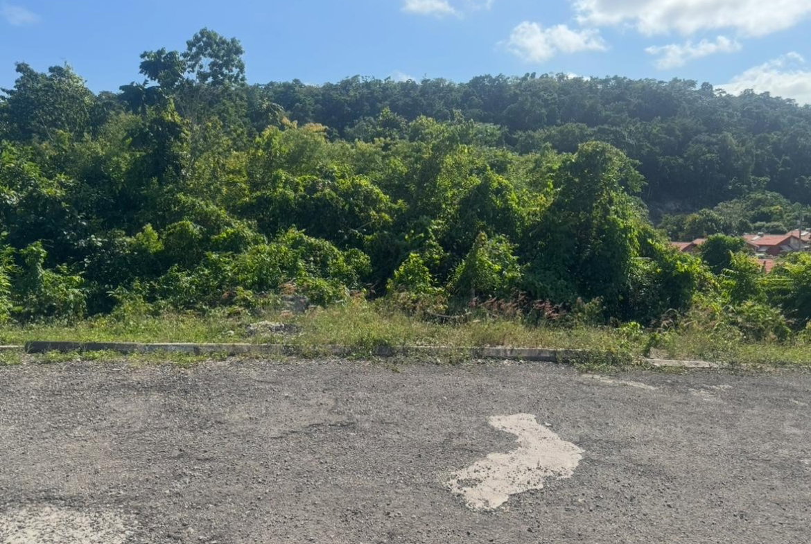 First image of Lot 24 Constitution dr Bosobel in Boscobel, St. Mary, Jamaica - property is For Sale