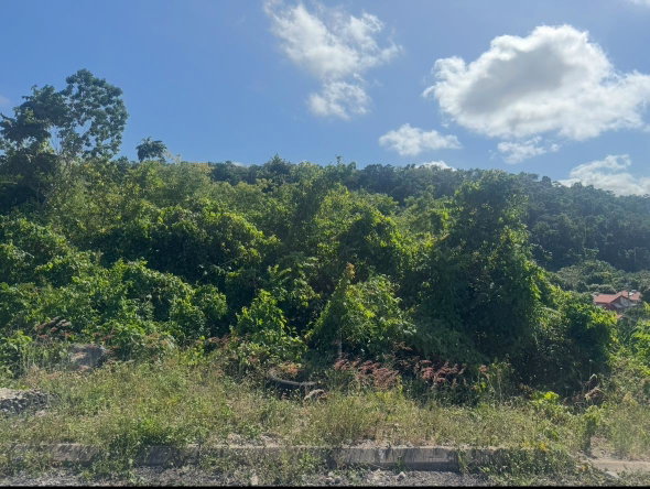 Thirteenth image of Lot 24 Constitution dr Bosobel in Boscobel, St. Mary, Jamaica - property is For Sale