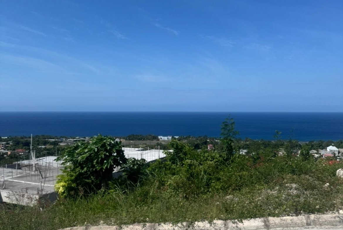 Fifteenth image of Lot 24 Constitution dr Bosobel in Boscobel, St. Mary, Jamaica - property is For Sale