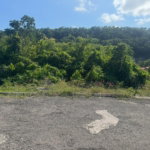 First image of Lot 24 Constitution dr Bosobel in Boscobel, St. Mary, Jamaica - property is For Sale