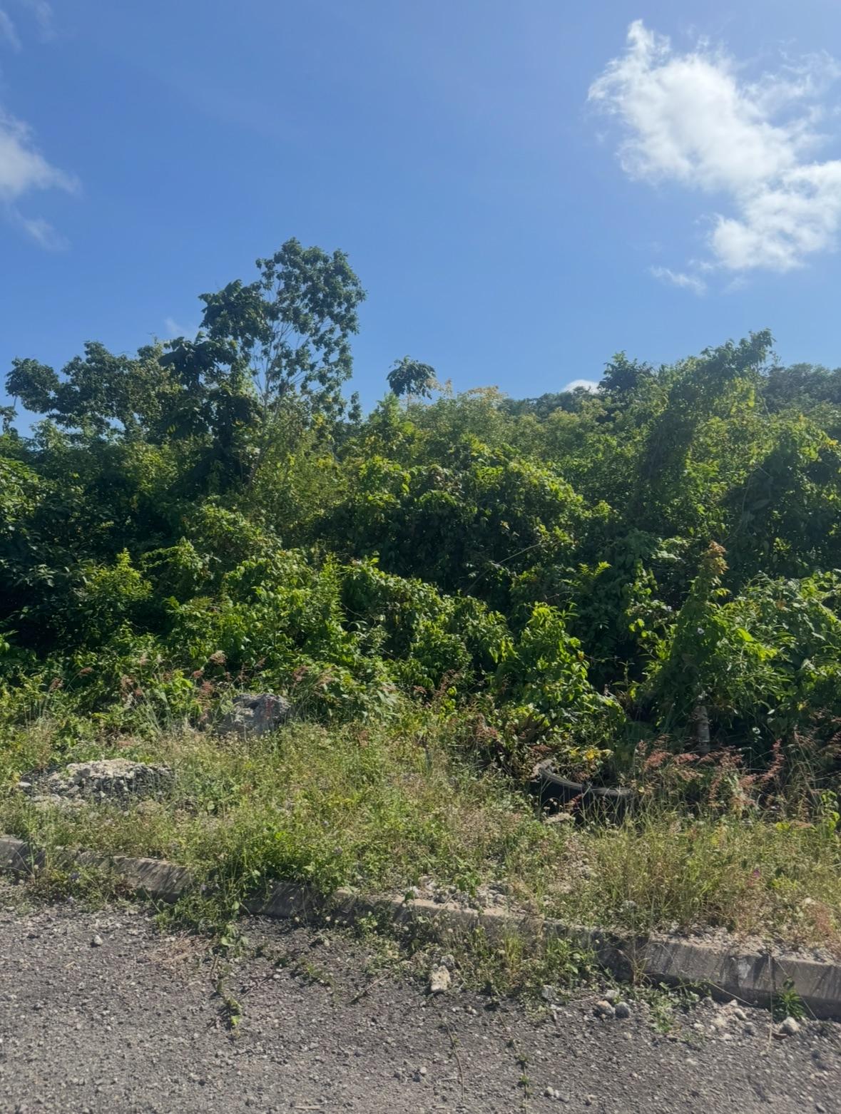 Seventeenth image of Lot 24 Constitution dr Bosobel in Boscobel, St. Mary, Jamaica - property is For Sale