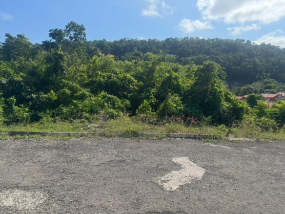 First image of Lot 24 Constitution dr Bosobel in Boscobel, St. Mary, Jamaica - property is For Sale