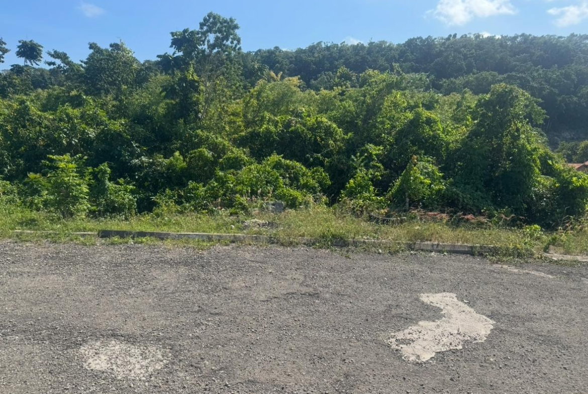 Seventh image of Lot 24 Constitution dr Bosobel in Boscobel, St. Mary, Jamaica - property is For Sale