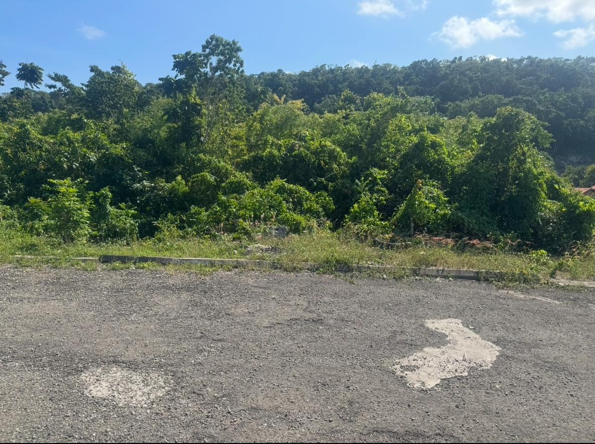 Seventh image of Lot 24 Constitution dr Bosobel in Boscobel, St. Mary, Jamaica - property is For Sale