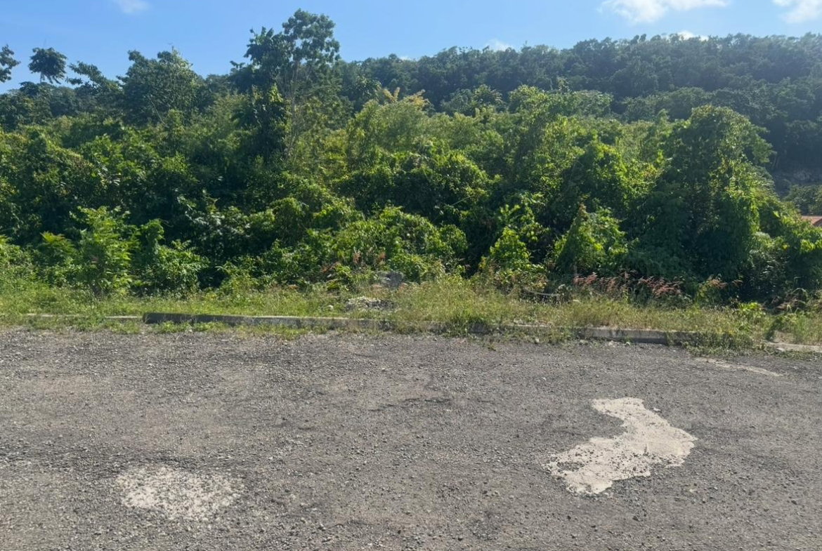 Eighth image of Lot 24 Constitution dr Bosobel in Boscobel, St. Mary, Jamaica - property is For Sale