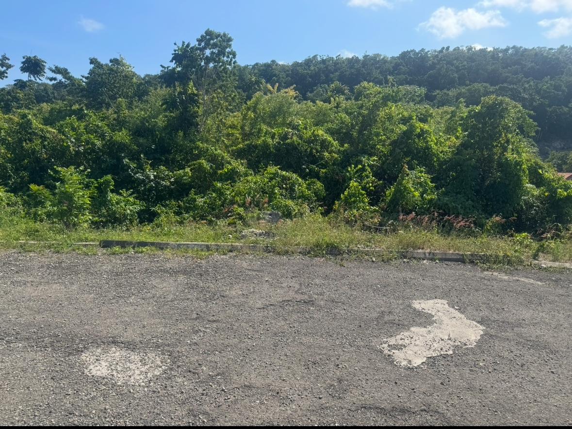 Eighth image of Lot 24 Constitution dr Bosobel in Boscobel, St. Mary, Jamaica - property is For Sale