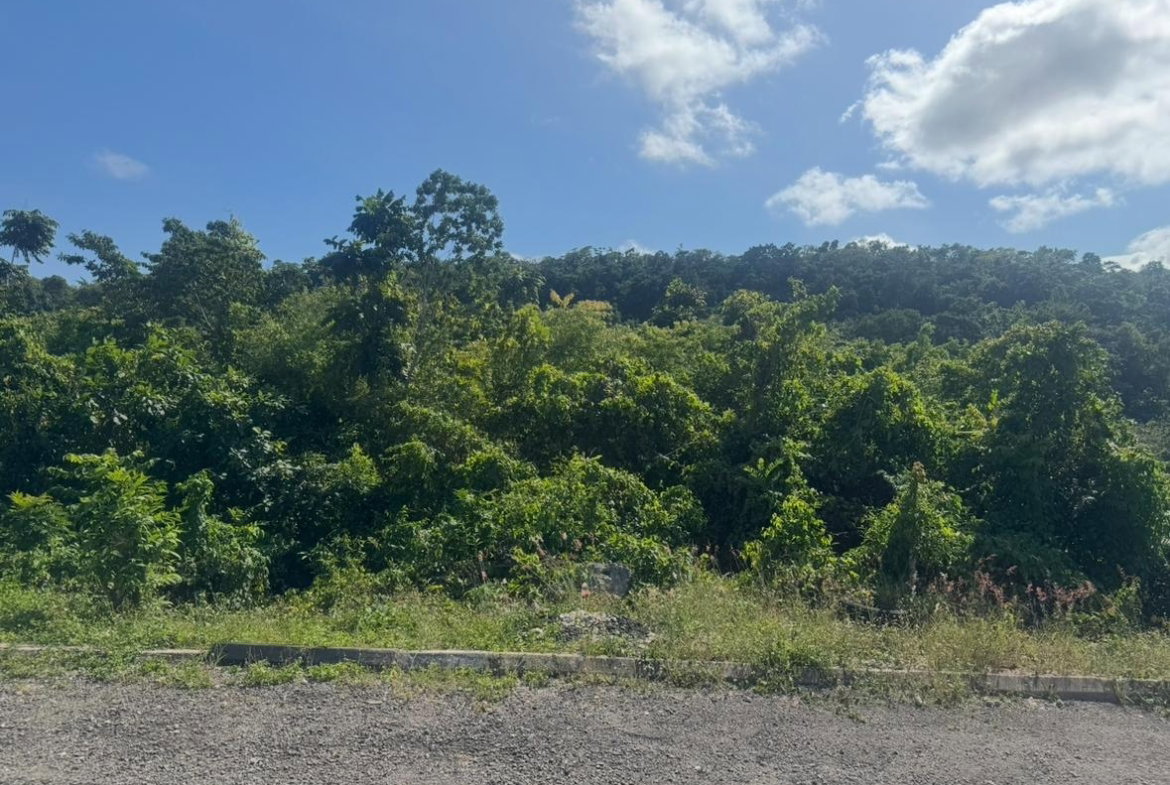 Ninth image of Lot 24 Constitution dr Bosobel in Boscobel, St. Mary, Jamaica - property is For Sale