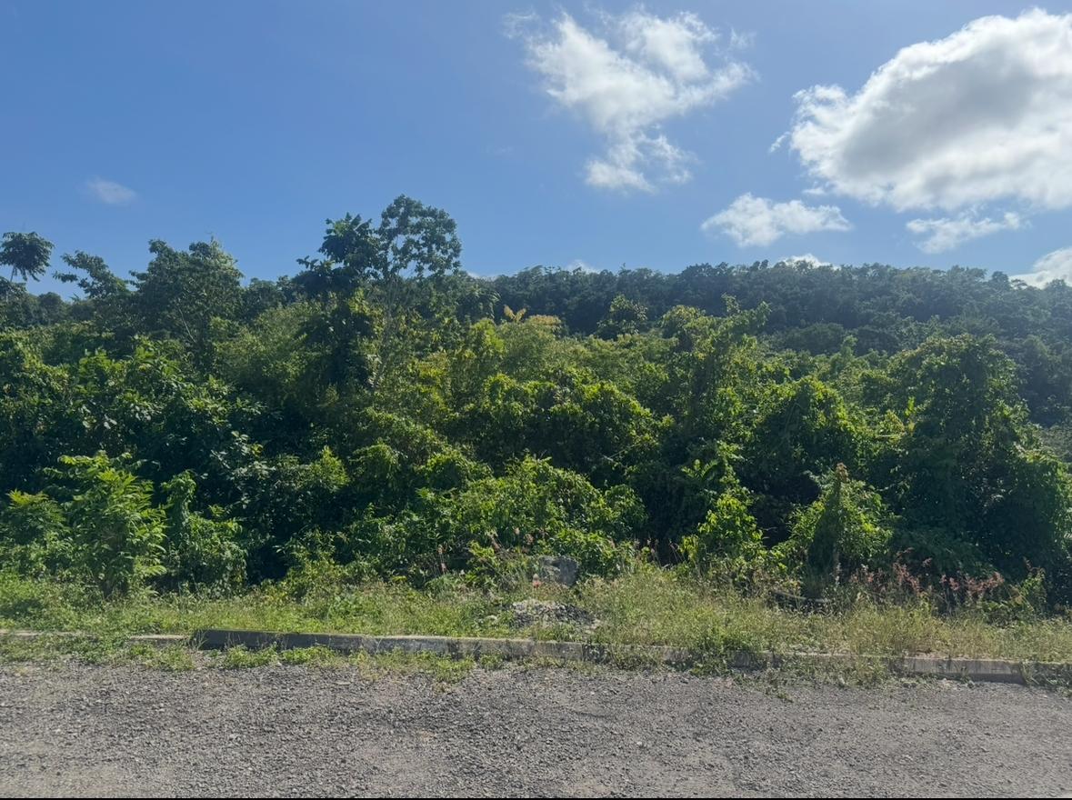 Ninth image of Lot 24 Constitution dr Bosobel in Boscobel, St. Mary, Jamaica - property is For Sale