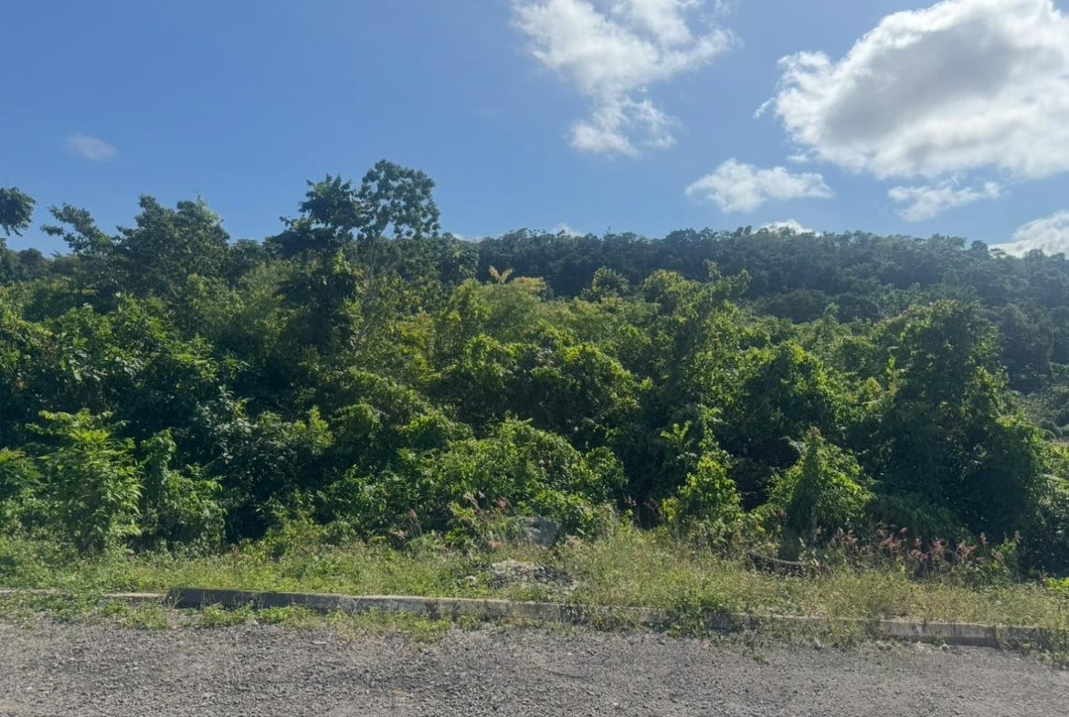 Tenth image of Lot 24 Constitution dr Bosobel in Boscobel, St. Mary, Jamaica - property is For Sale