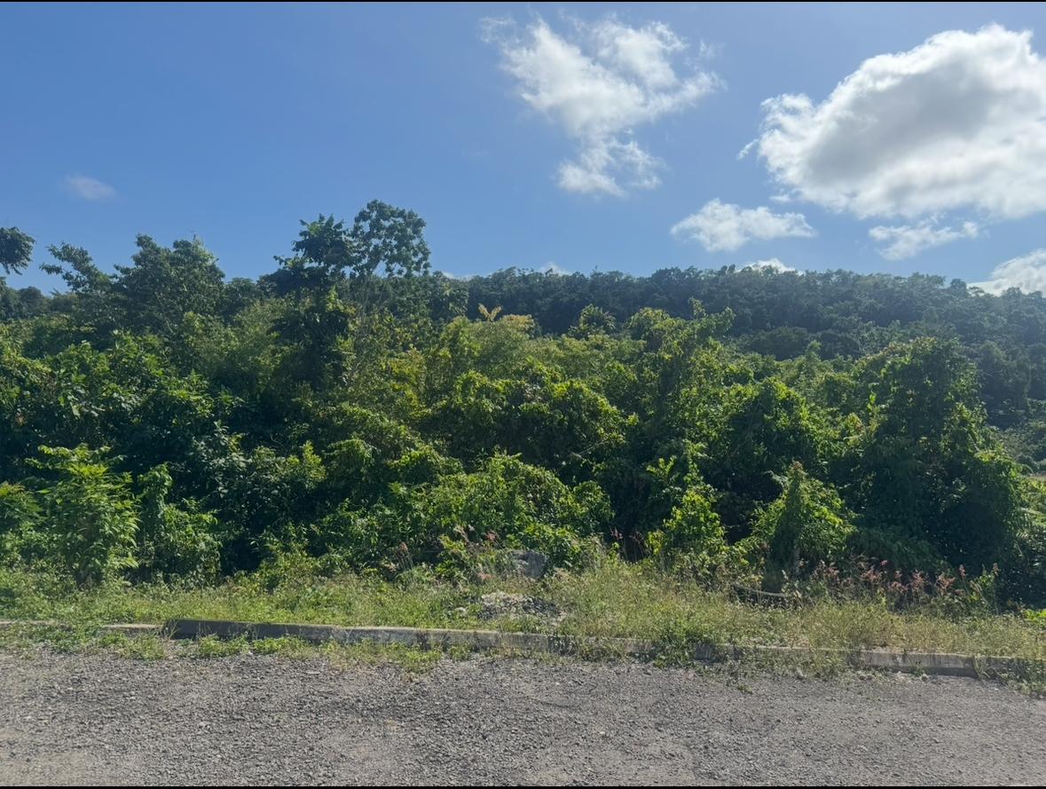 Tenth image of Lot 24 Constitution dr Bosobel in Boscobel, St. Mary, Jamaica - property is For Sale