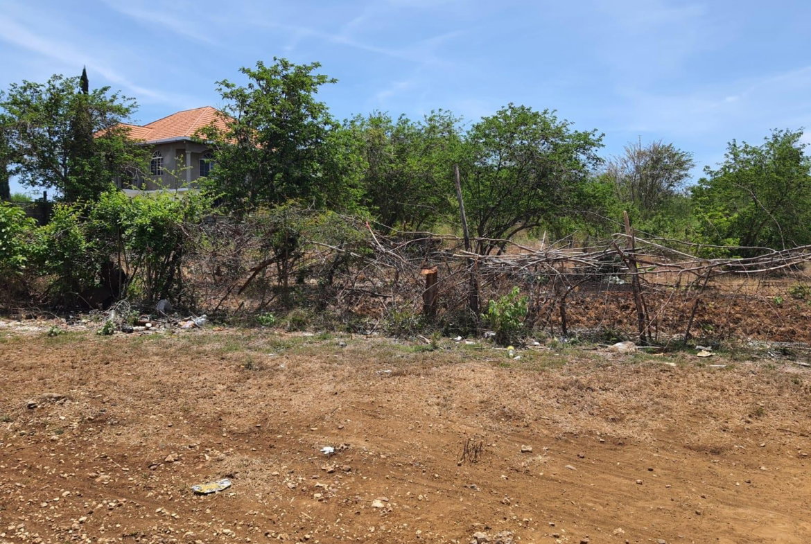 Second image of Part of Palmetto Pen, Cla in Palmetto Pen, Clarendon, Jamaica - property is For Sale